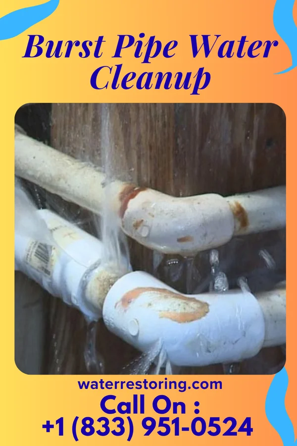 Burst Pipe Water Cleanup in Prompton, PA