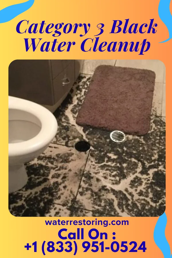 Category 3 Black Water Cleanup in Prompton, PA