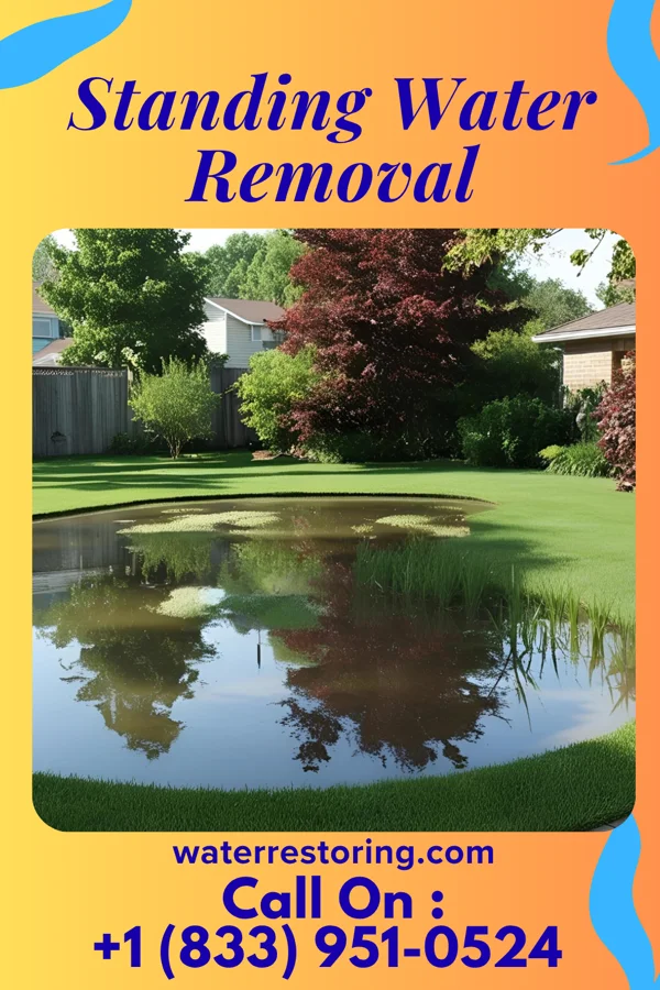Standing Water Removal in Prompton, PA